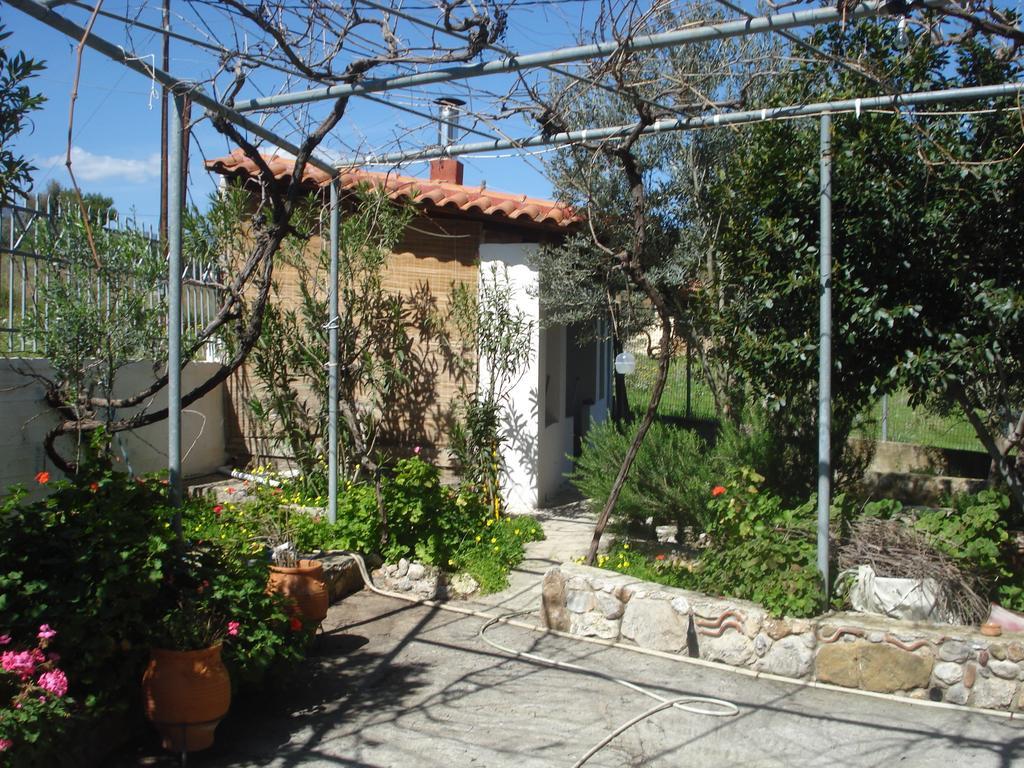 Elea Guesthouse Galaxídhion Exterior foto